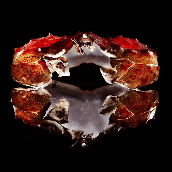 Photograph Bene Tan What A Crab on One Eyeland