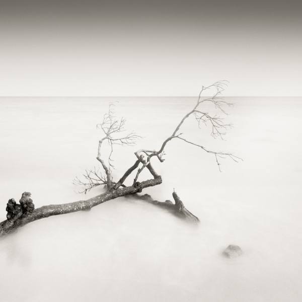 Photograph Jayanta Roy Remains on One Eyeland