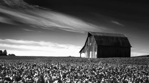 Photograph Scott Johnson Missouri Farm on One Eyeland