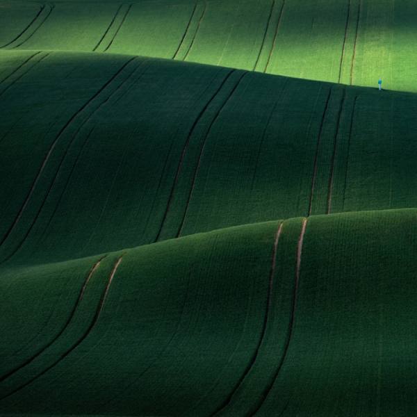 Photograph Peter Svoboda Green Waves on One Eyeland