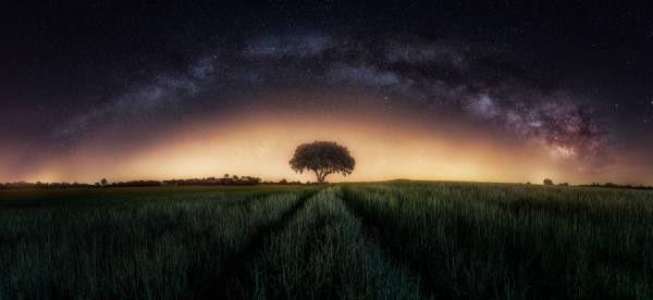 Photograph Ivan Ferrero Milky Way And Lonely Tree on One Eyeland