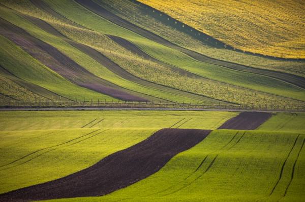 Photograph Peter Svoboda Land Full Of Lines on One Eyeland