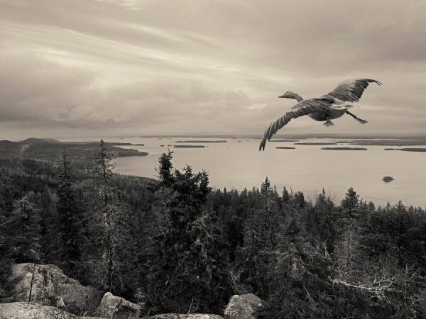 Photograph Antti Viitala Koli on One Eyeland