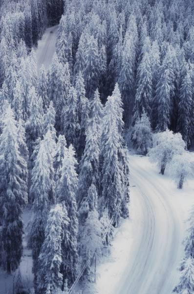 Photograph Teemu Kalliolahti Winter Road Ii on One Eyeland