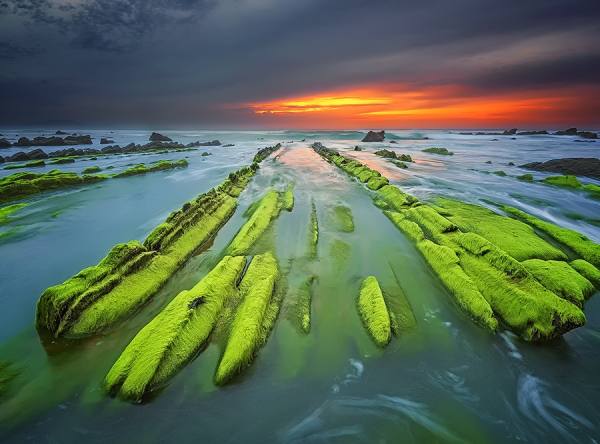 Photograph Ivan Ant The Spring I Go To The Sea on One Eyeland