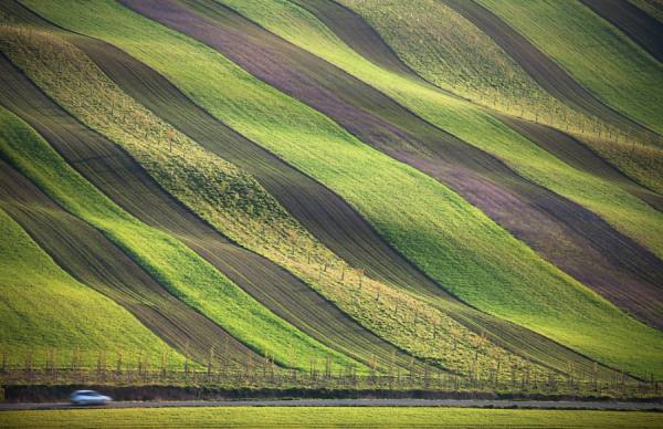 Photograph Peter Svoboda Crossing The Fields on One Eyeland