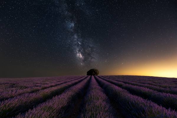 Photograph Antonio Prado Perez Milky Way Over Lavender on One Eyeland