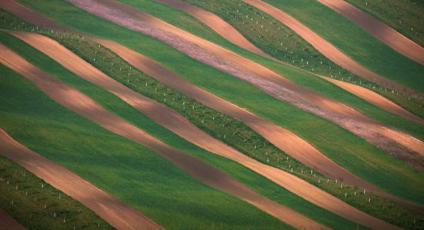 Photograph Peter Svoboda Stripes In The Field on One Eyeland