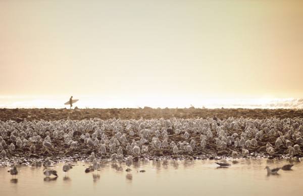 Photograph Justin Carrasquillo Surfer on One Eyeland