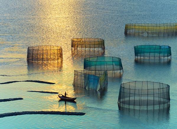 Photograph Thierry Bornier Dream on One Eyeland