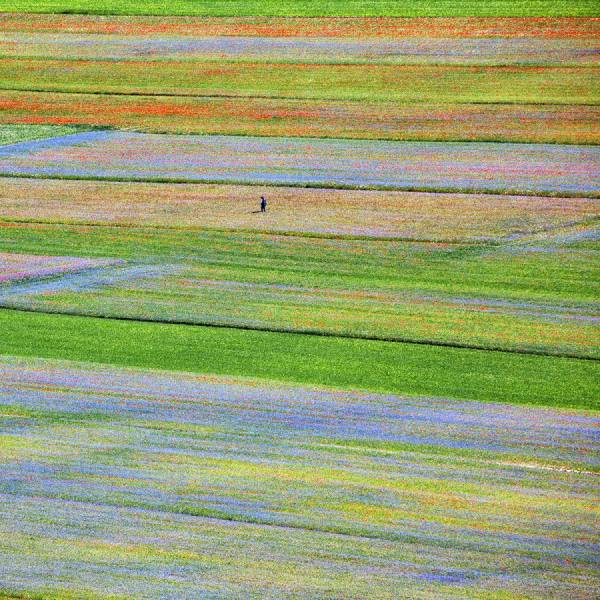 Photograph Della Latta Massimo  Colors on One Eyeland