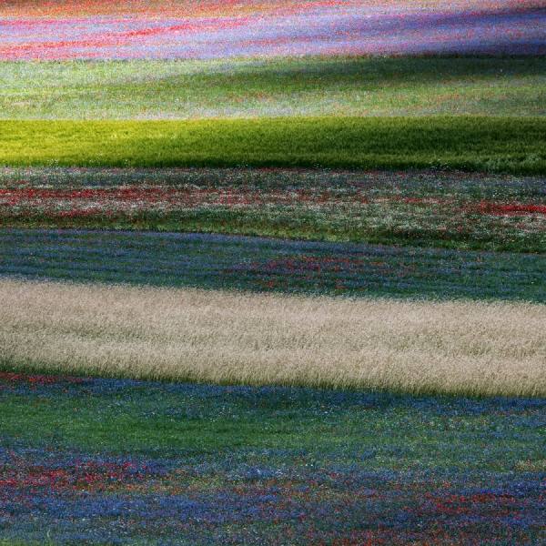 Photograph Della Latta Massimo  Colors 2 on One Eyeland