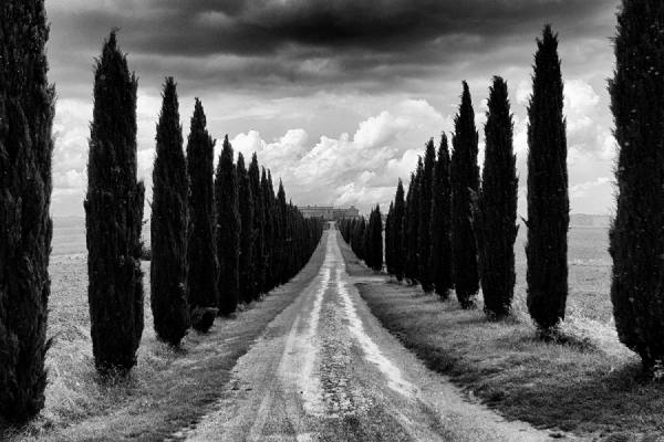 Photograph Della Latta Massimo  Covili on One Eyeland