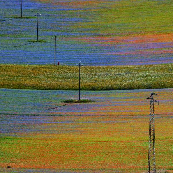 Photograph Della Latta Massimo  Colors Castelluccio 4 on One Eyeland