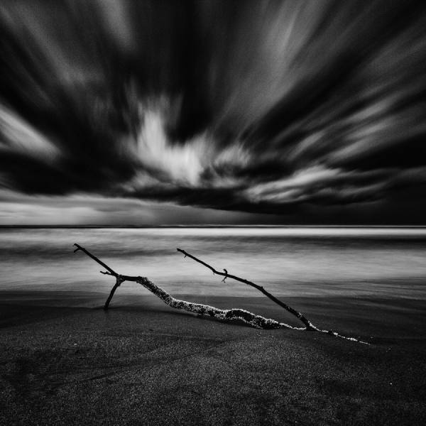 Photograph Della Latta Massimo  Il Tronco on One Eyeland