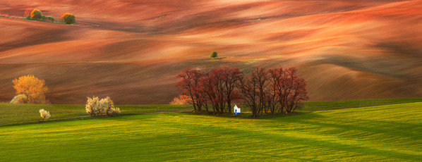 Photograph Jan Smid Oasis on One Eyeland