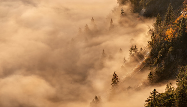 Photograph Jan Smid Misty Morning on One Eyeland