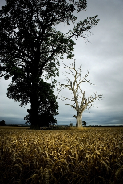 Photograph James Callaghan A Matter Of Life And Death on One Eyeland
