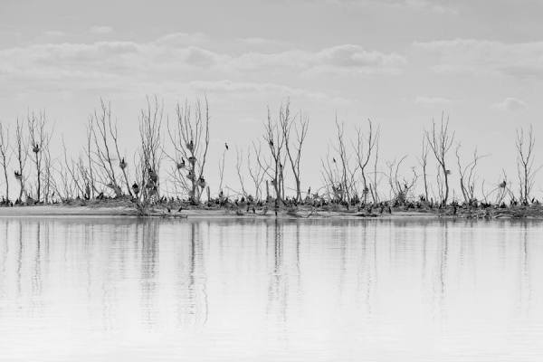 Photograph Robert K Aalscholverland on One Eyeland