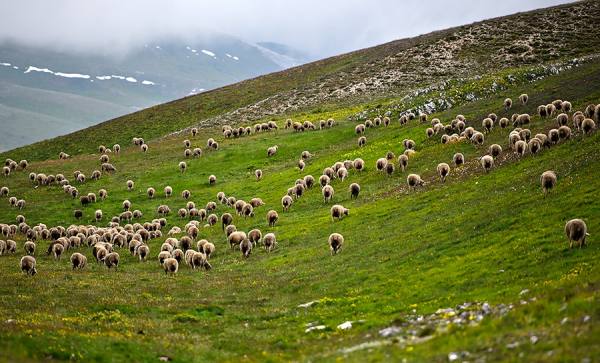 Photograph Suchet Suwanmongkol Abruzzo Italy on One Eyeland