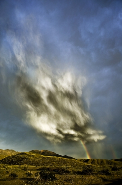 Photograph James Callaghan After The Storm Death Valley on One Eyeland