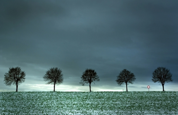 Photograph Martin Baitinger Allee on One Eyeland