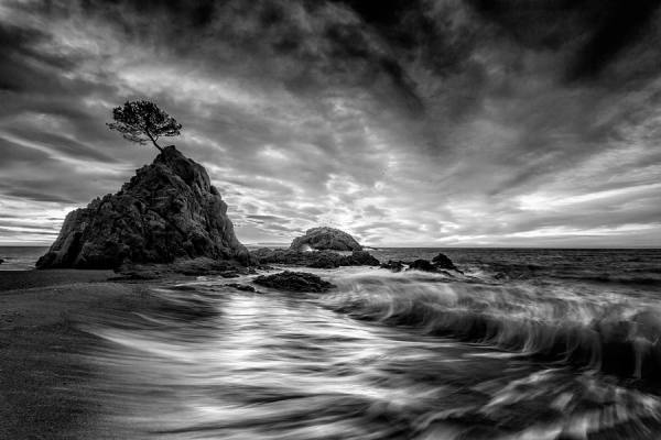 Photograph Xose Casal Alone on One Eyeland