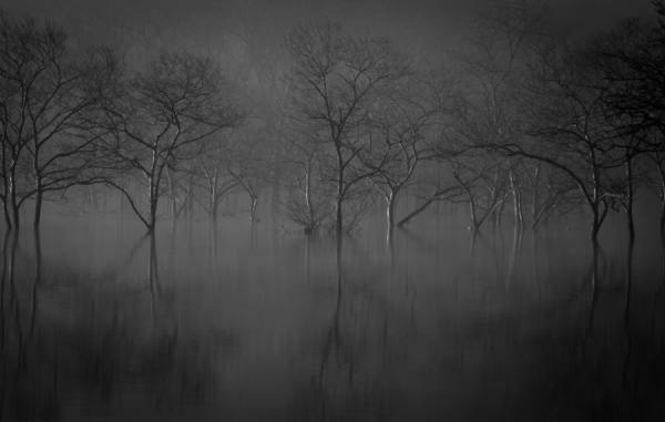 Photograph Teruo Araya At First Light on One Eyeland