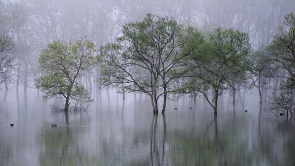 Photograph Teruo Araya Beautiful Morning on One Eyeland