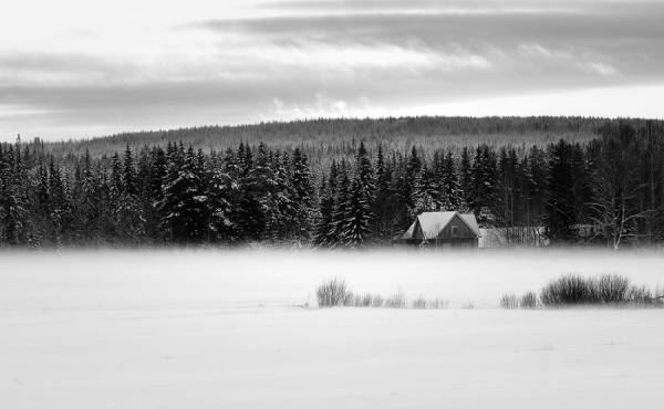 Photograph Joni Niemela Behind The Curtain Of The Mist on One Eyeland