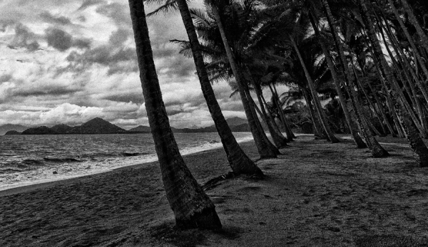 Photograph Mauro Risch Bending With The Wind on One Eyeland