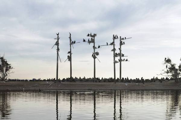 Photograph Ian Pool Bird Island on One Eyeland