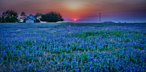 Photograph George Gewinner Blue Fields on One Eyeland