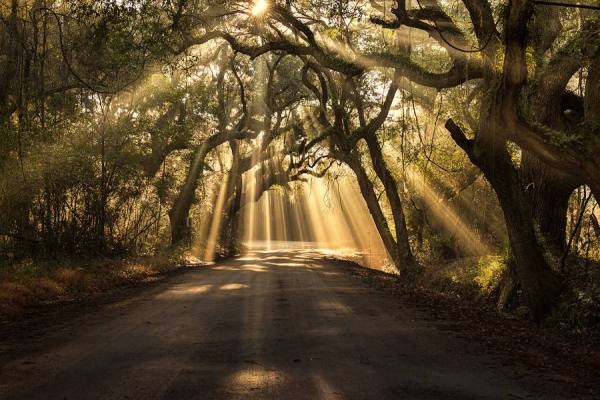 Photograph Michael Woloszynowicz Botany Bay on One Eyeland