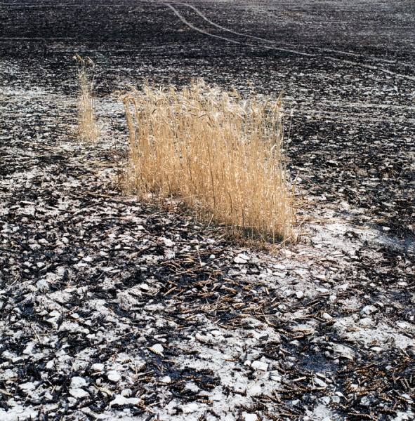 Photograph Jens Lucking Burnt on One Eyeland