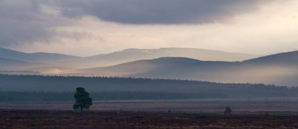 Photograph Glen Campbell Cairngorm on One Eyeland