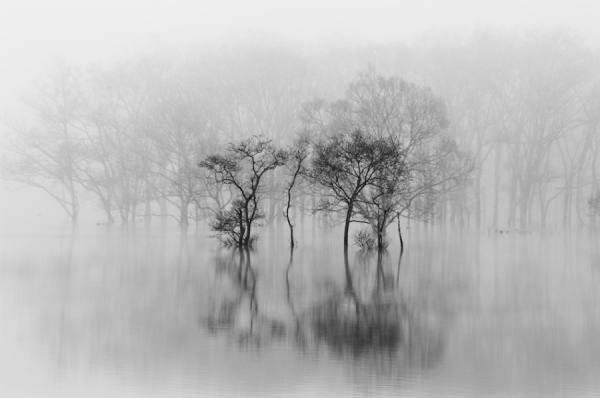 Photograph Teruo Araya Calm World on One Eyeland