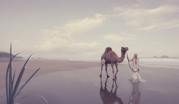 Photograph Erik Almas Camel on One Eyeland