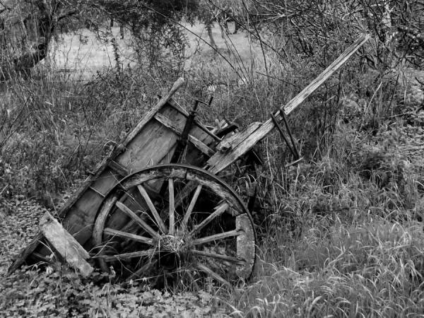 Photograph Joao Guerreiro Carro De Besta on One Eyeland