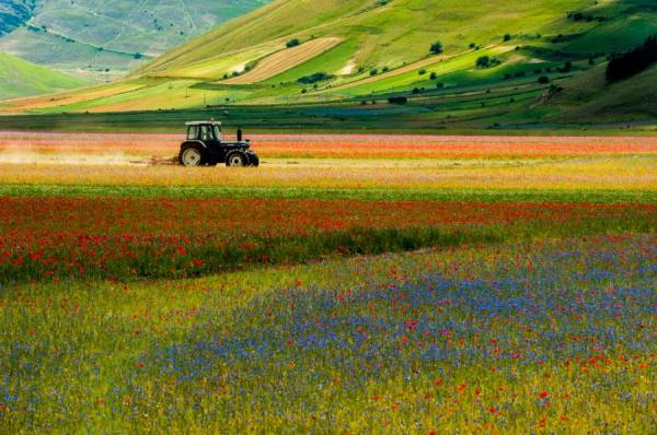 Photograph Antonio Zarli Castelluccio on One Eyeland