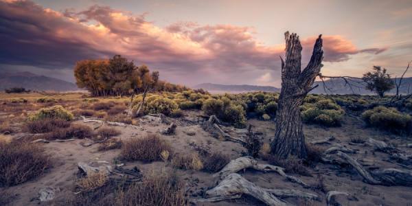 Photograph Nick Hall Colorado I on One Eyeland