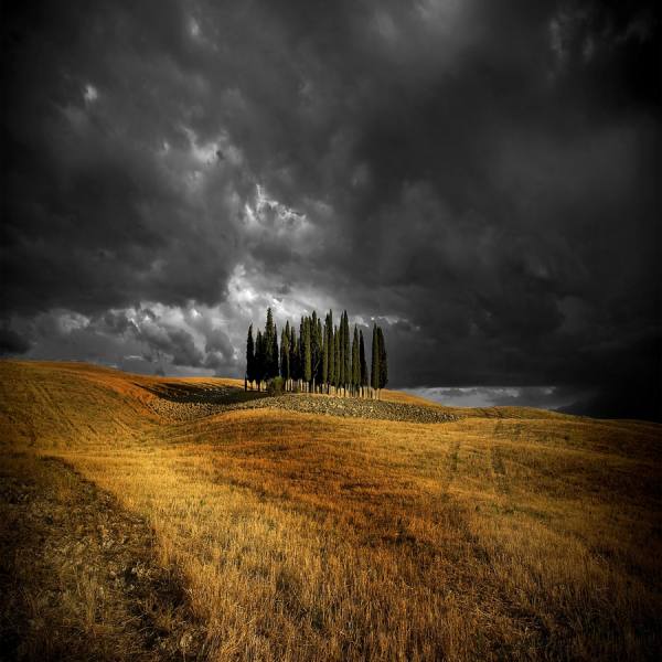 Photograph Edmondo Senatore Contrast In Summer on One Eyeland