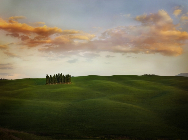 Photograph Jimmy Williams Cypress Grove Ii on One Eyeland
