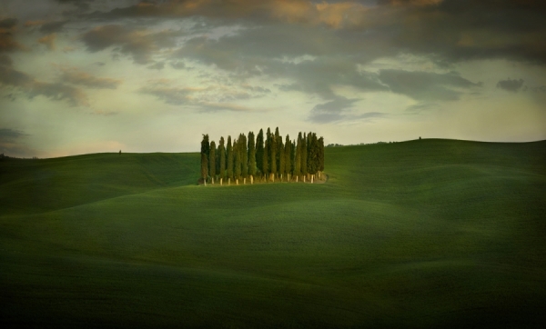 Photograph Jimmy Williams Cypress Grove Val Dorcia Tuscany on One Eyeland