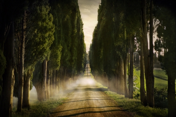Photograph Jimmy Williams Vanishing Point Tuscany on One Eyeland