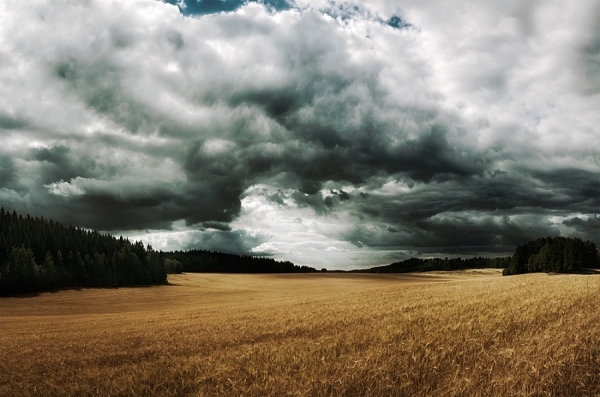 Photograph Mikko Lagerstedt Dark Field on One Eyeland