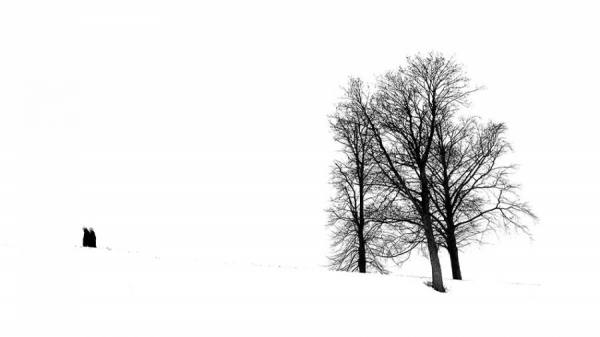 Photograph Rui Azeredo Dashing Through The Snow on One Eyeland
