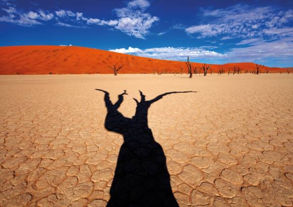 Photograph Des Kleineibst Deadvlei Shadow on One Eyeland