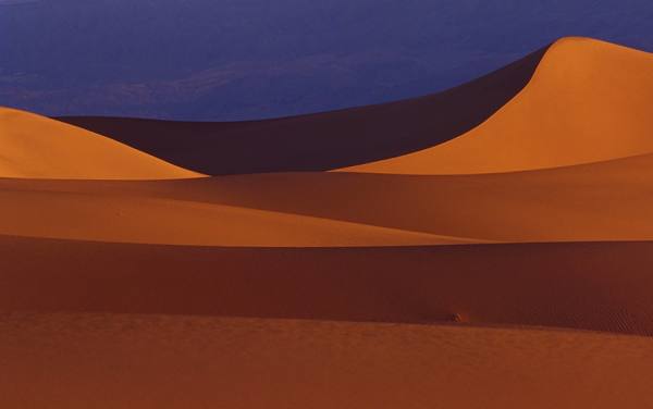 Photograph Larry Hamill Death Valley on One Eyeland