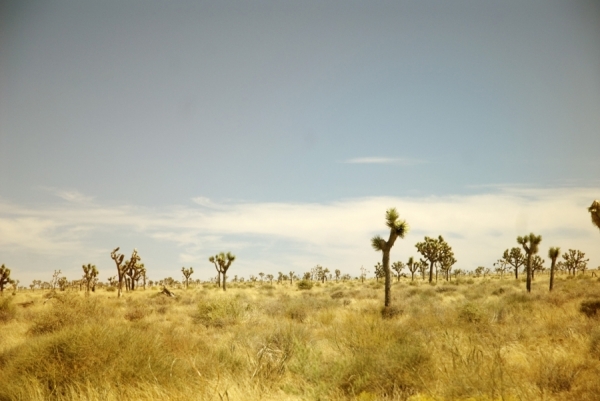 Photograph Jessica Opremcak Desert on One Eyeland